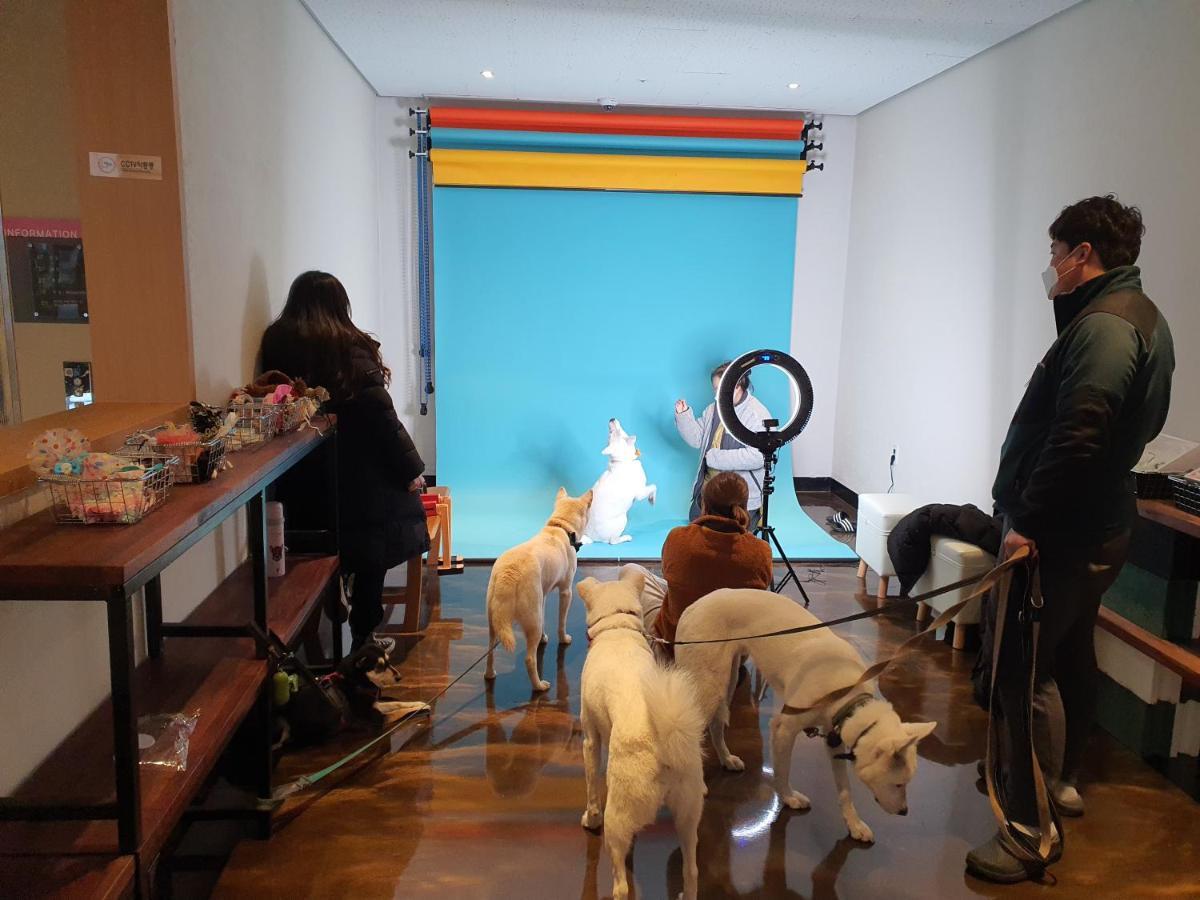 嗨济州酒店 济州市 外观 照片