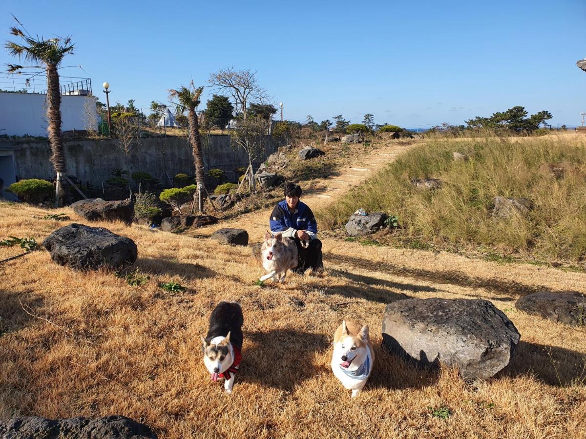 嗨济州酒店 济州市 外观 照片